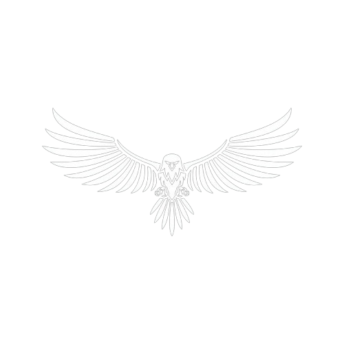 eagle vector design for logo icon removebg preview
